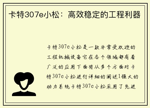 卡特307e小松：高效稳定的工程利器